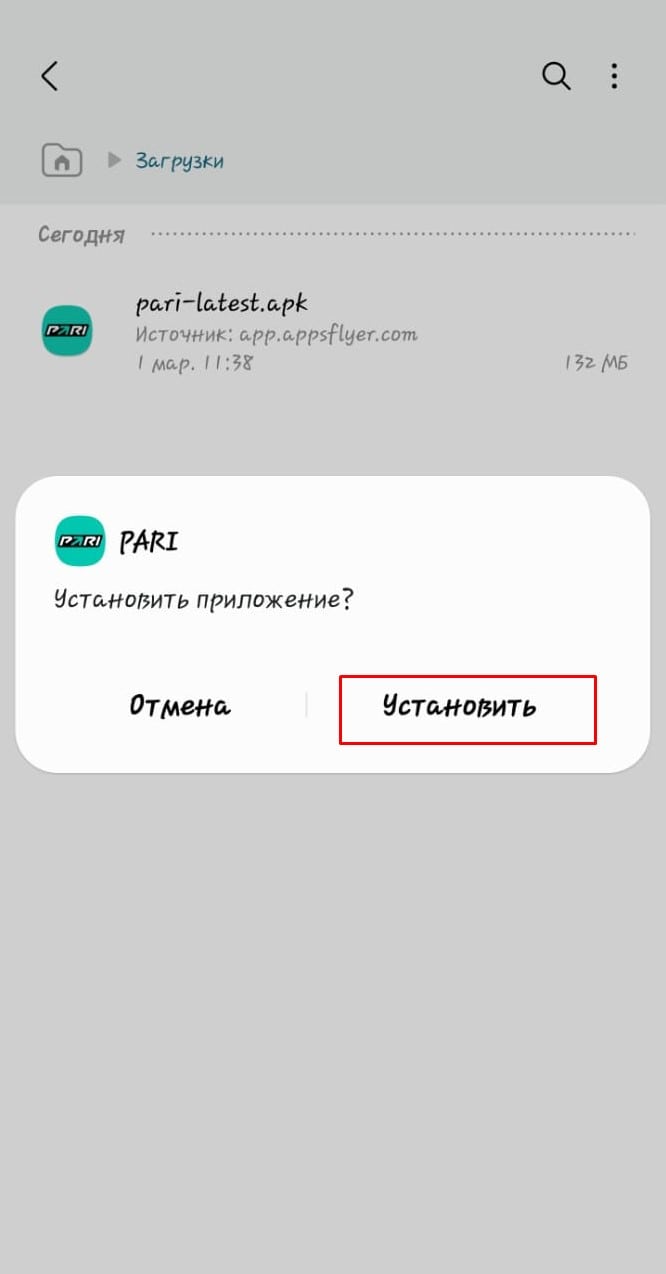 Установка приложения ПАРИ